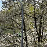 Private Riverside 아파트